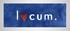 locum_logo1.jpg