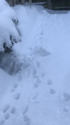24659EBB-058D-471C-A899-BF83FBA97B6A.png