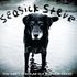 Seasick Steve - You Cant Teach An Old Dog New Tricks.jpg