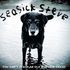 Seasick Steve - You Cant Teach An Old Dog New Tricks.jpg