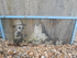 st leonards banksy.JPG