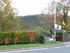 Bow Street rememberance.JPG