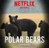 Polar Bears - A Documentary.jpg